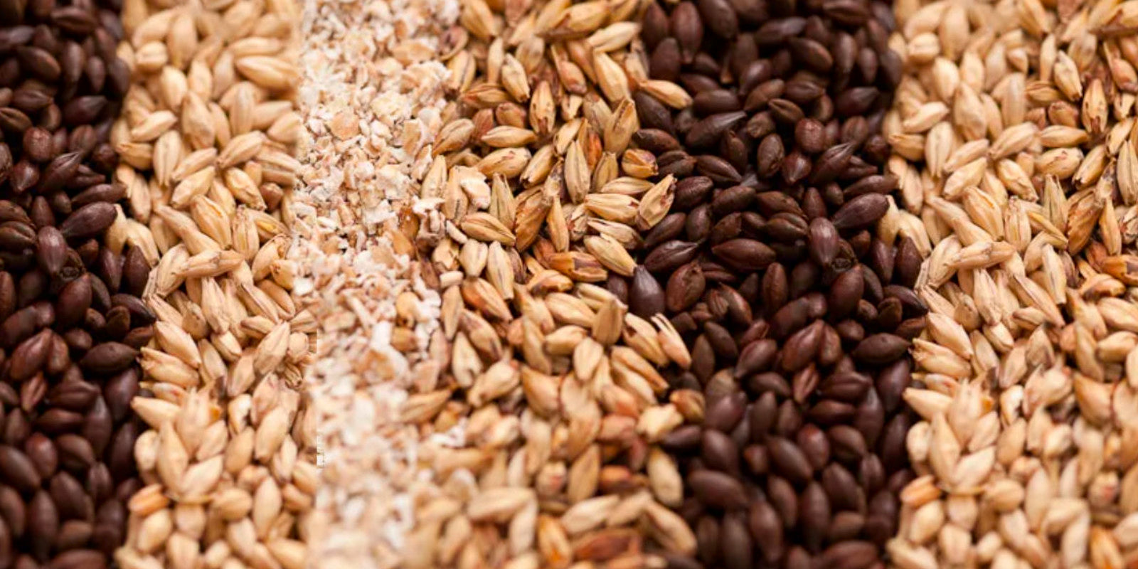 All Grain Ingredient Kits