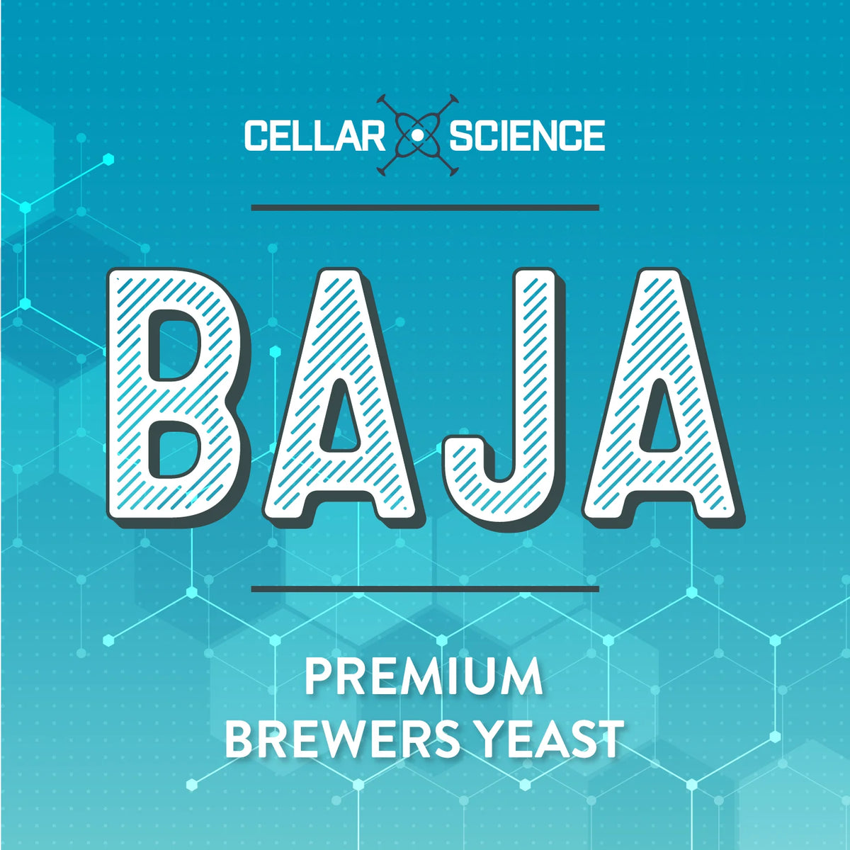 Baja Dry Yeast 12g - CellarScience